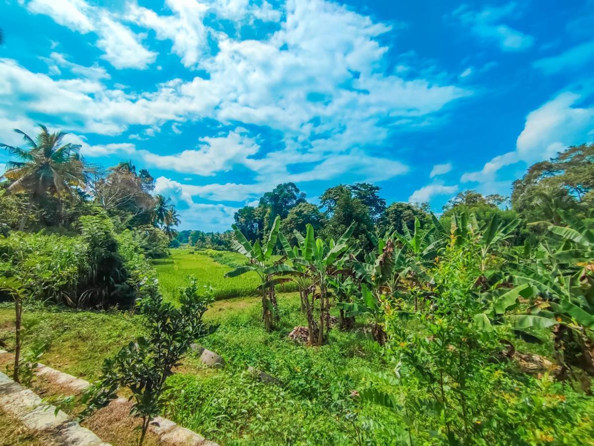 Peacock Village Pinnawala - Offer Alert! Elephant Welfare Program Exterior foto