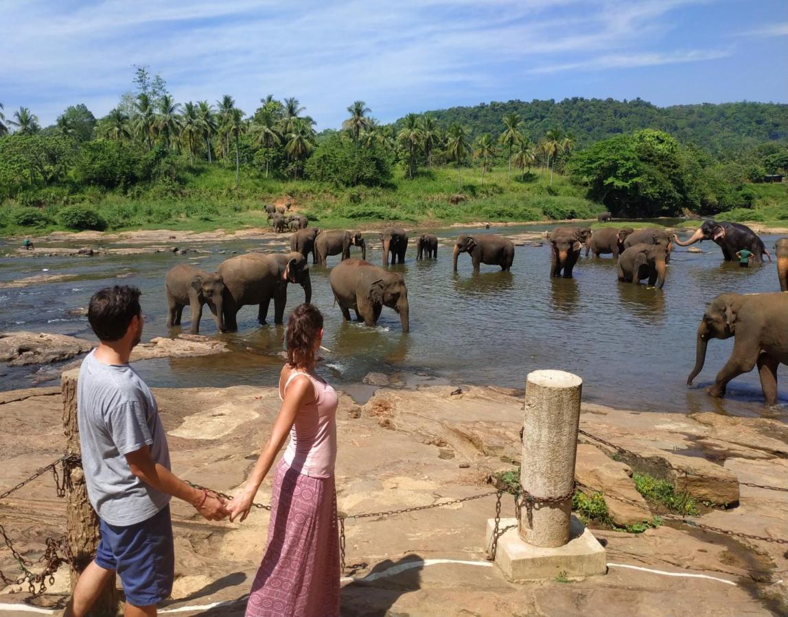 Peacock Village Pinnawala - Offer Alert! Elephant Welfare Program Exterior foto