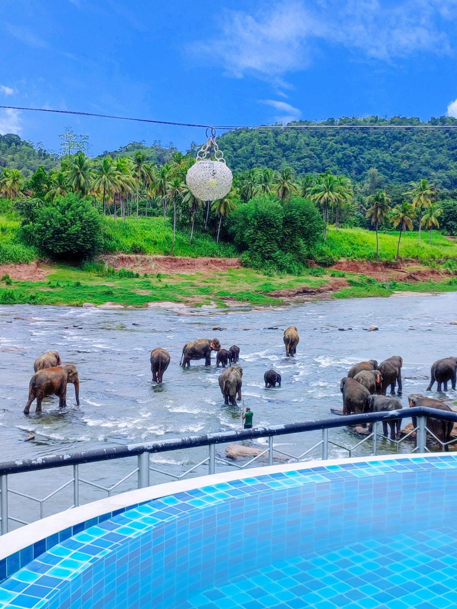 Peacock Village Pinnawala - Offer Alert! Elephant Welfare Program Exterior foto